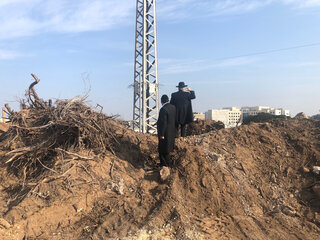 עמודי העירוב שהוסרו. "שרירות לב"